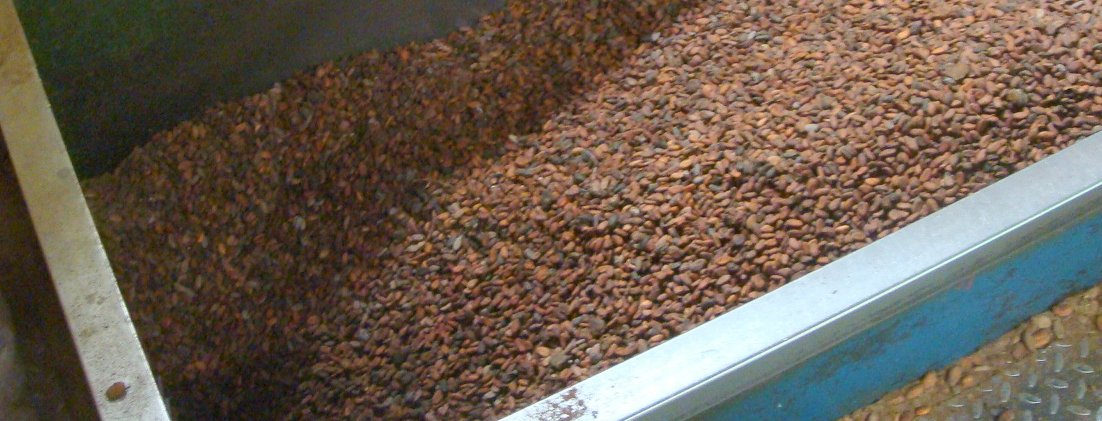 Cocoa processing-002
