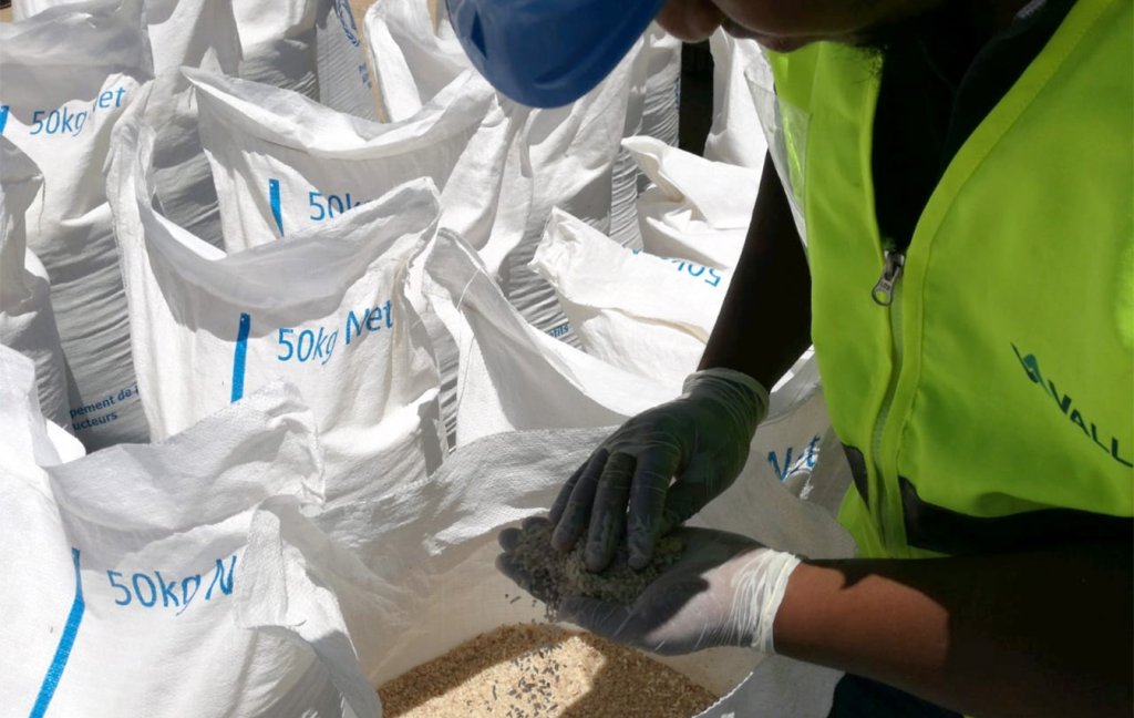 A Vallis worker wearing a Vallis Group high-vis jacket.