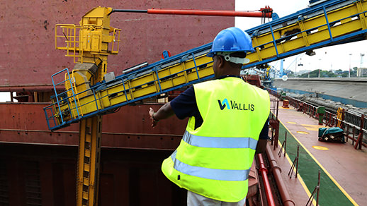 Advisory & Project Management