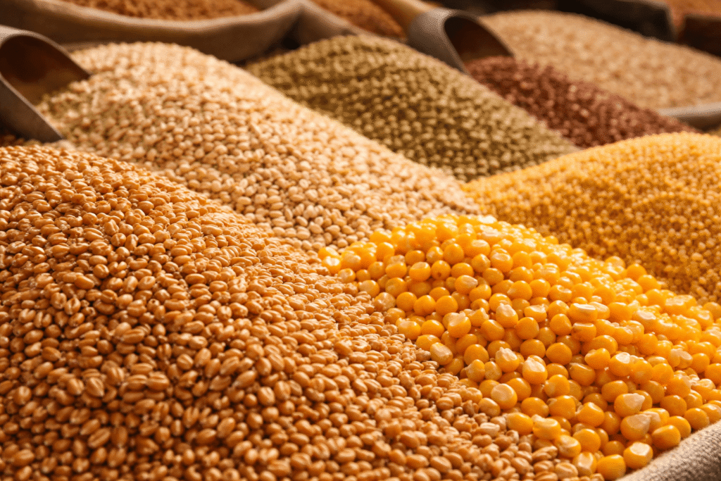 Piles of different grains